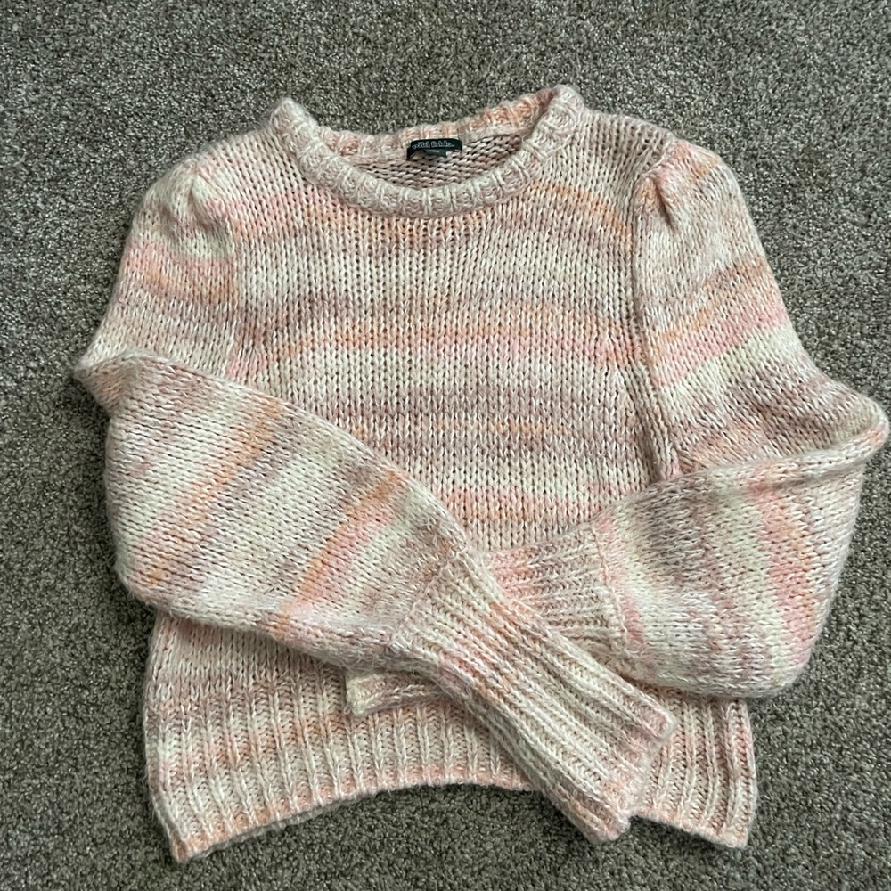 Wild Fable sweater